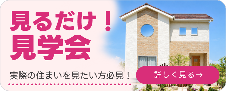 見るだけ見学会